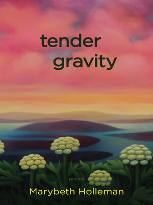 cover image of tender gravity